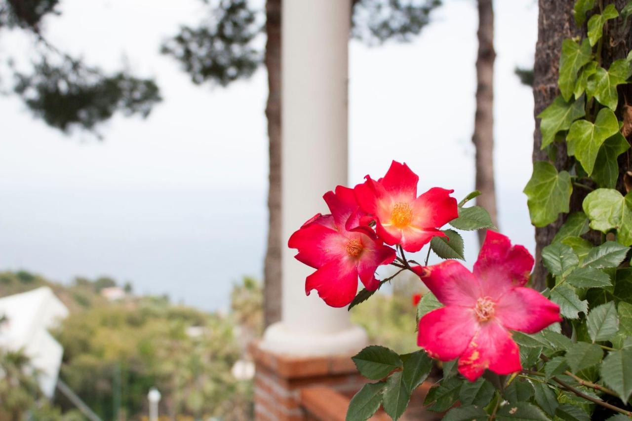 Hotel Grand Miramare 4*